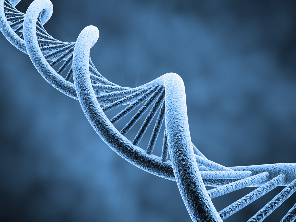 Patenty na wynalazki biotechnologiczne w prawie europejskim